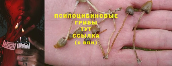 кристаллы Белокуриха