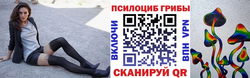 Галлюциногенные грибы Psilocybe Минеральные Воды