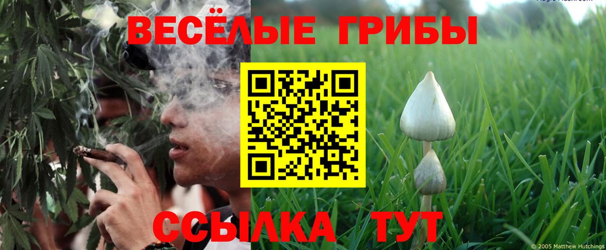 Минеральные Воды  Псилоцибиновые грибы Psilocybine cubensis  Галлюциногенные грибы MAGIC MUSHROOMS  Вход с VPN 