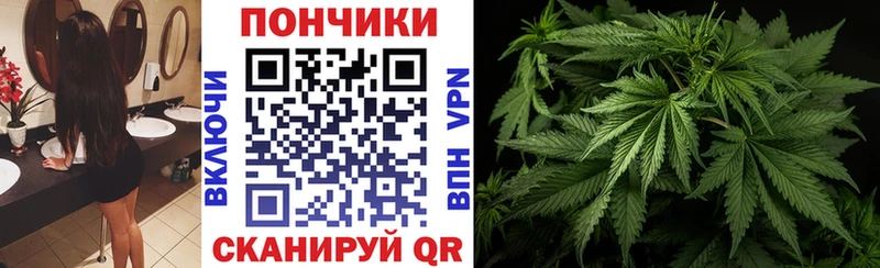 Бошки марихуана Ganja Минеральные Воды
